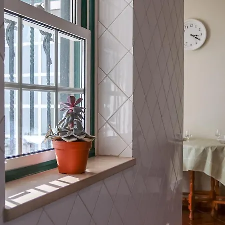 Traditional Portuguese - Casa Martins No 52 Lejlighed