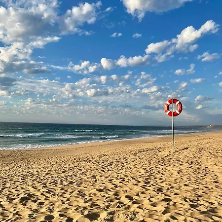 Traditional Portuguese - Casa Martins No 52 *