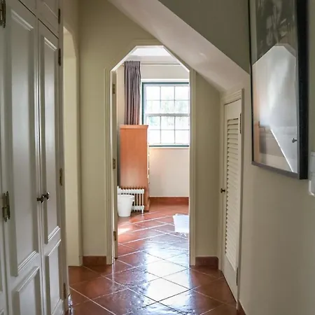 Traditional Portuguese - Casa Martins No 52 *