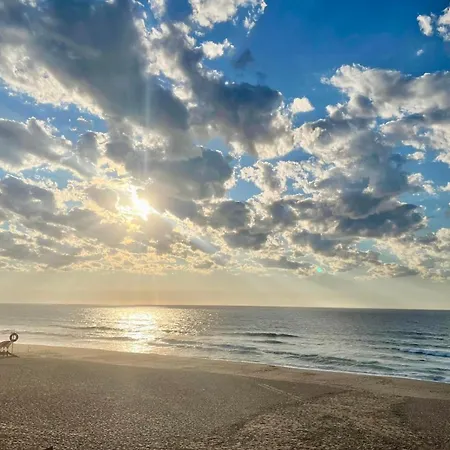 Traditional Portuguese - Casa Martins No 52 Freiria