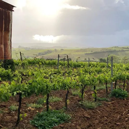 Traditional Portuguese - Casa Martins No 52 Апартаменты *