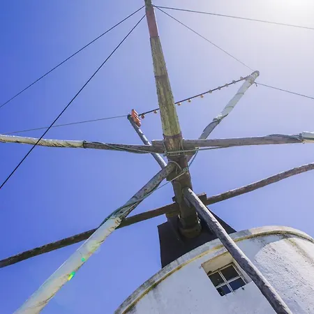 Lägenhet Traditional Portuguese - Casa Martins No 52