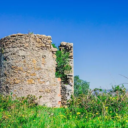 Traditional Portuguese - Casa Martins No 52