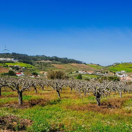 Апартаменты Traditional Portuguese - Casa Martins No 52 Freiria