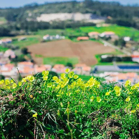 Traditional Portuguese - Casa Martins No 52 Апартаменты