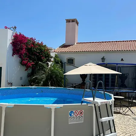 Traditional Portuguese - Casa Martins No 52