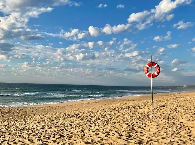 Traditional Portuguese - Casa Martins No 52 *