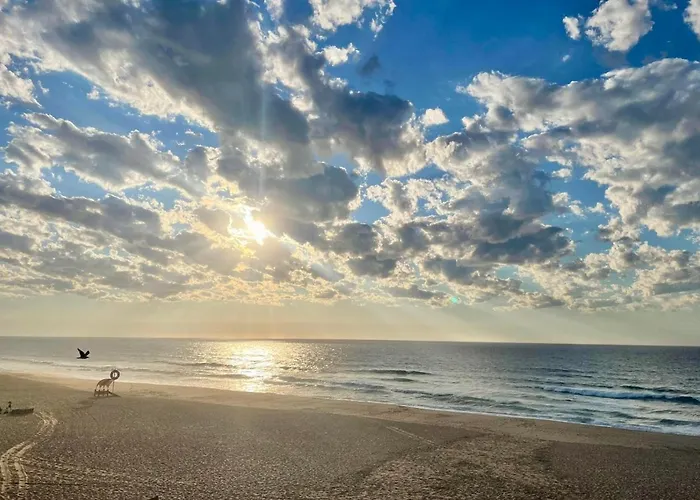 Traditional Portuguese - Casa Martins No 52 Freiria