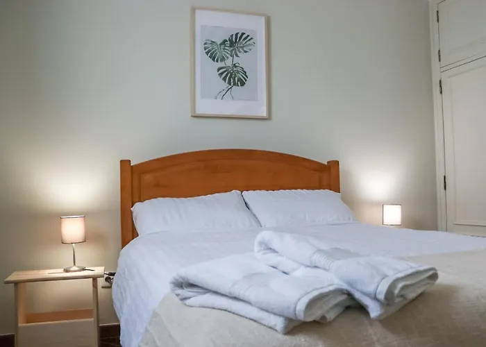 Traditional Portuguese - Casa Martins No 52