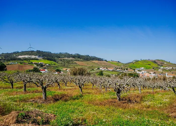 Appartamento Traditional Portuguese - Casa Martins No 52 Freiria