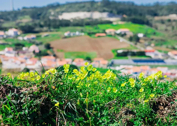 Traditional Portuguese - Casa Martins No 52 Appartamento